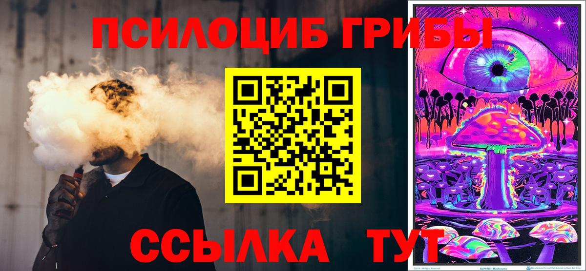 Буйнакск  Галлюциногенные грибы GOLDEN TEACHER  как найти   Вход с VPN 
